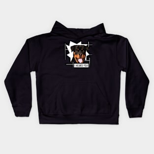 Funny Rottweiler I Heard You Kids Hoodie